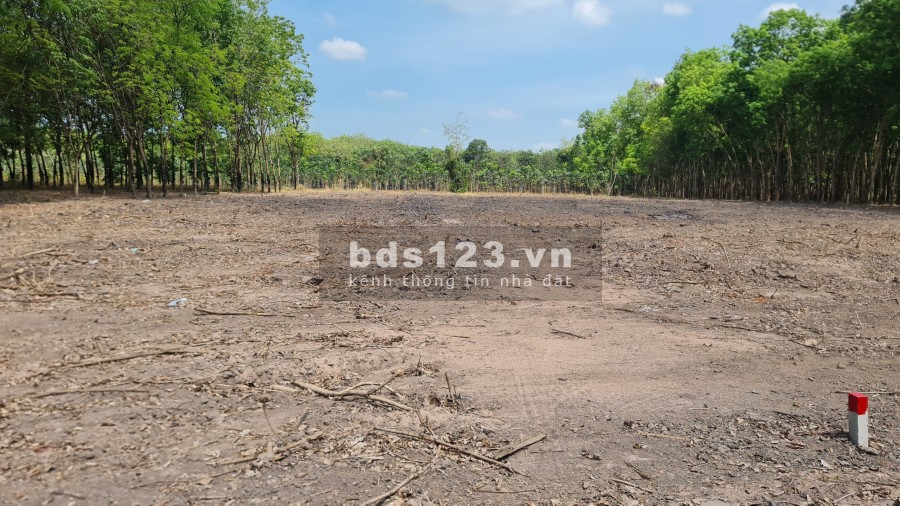 Đất Chơn Thành sổ sẵn giá cả bất ngờ giá đầu tư sinh lời, liên hệ xem đất 0334695820