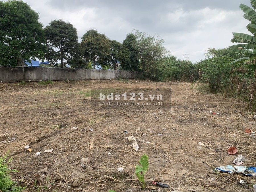 Có việc bán gấp lô đất diện tích 1100m2 thổ cư thành phố Tân An, liên hệ 0388781123