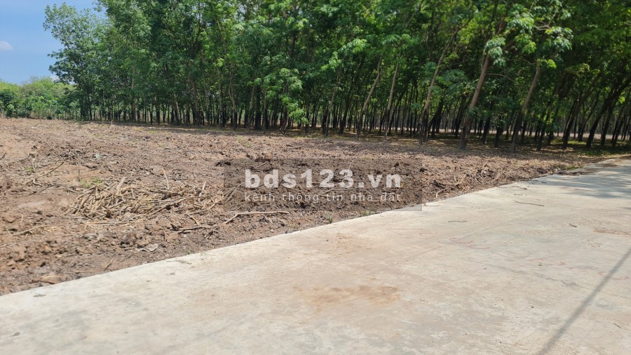 Đất Chơn Thành sổ sẵn giá cả bất ngờ giá đầu tư sinh lời, liên hệ xem đất 0334695820