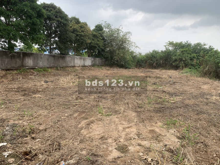 Có việc bán gấp lô đất diện tích 1100m2 thổ cư thành phố Tân An, liên hệ 0388781123