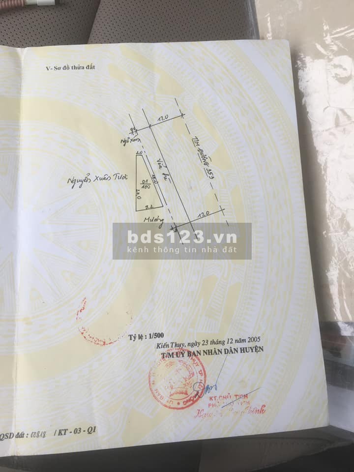 Cho thuê nhà, đất, văn phòng miễn trung gian, khu dân cư đông đúc, hướng tốt, gió vào mát mẻ