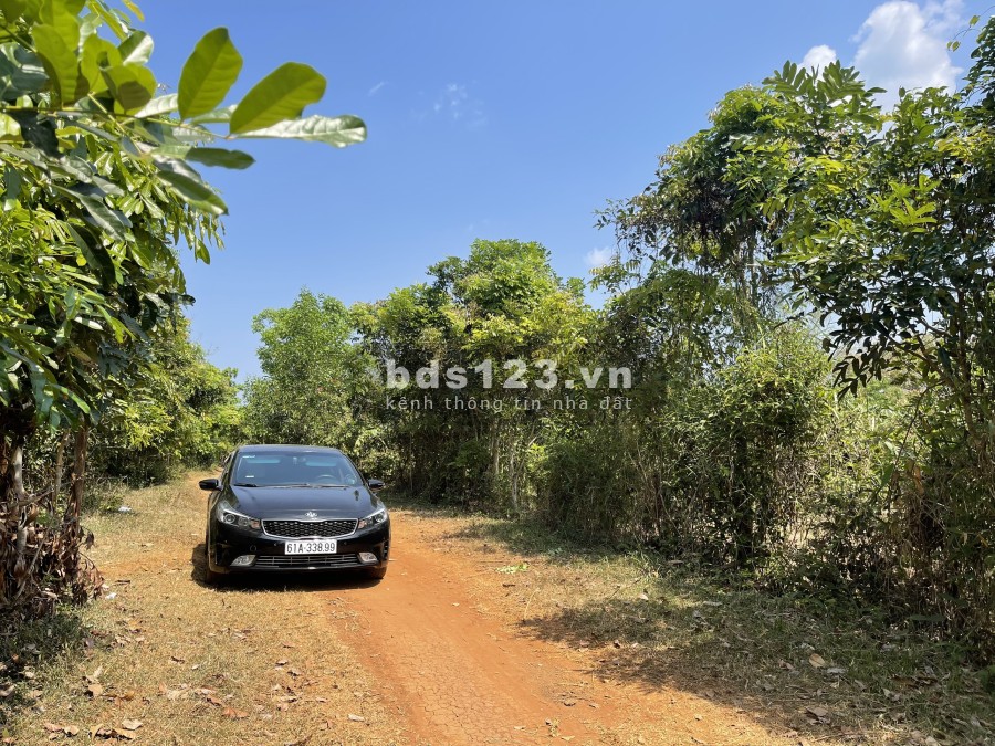 Bán gấp đất bình phước giá rẻ 1000m2, đất sào ngang 12m-13m-16m-17m * dài 77m-88m-99m gần UBND, KDL