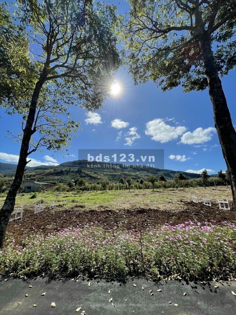 Eden Hills - đất nền nghỉ dưỡng gần ngay trung tâm Đà Lạt giá 4.2tr/m2 - đã có sổ đỏ từng nền