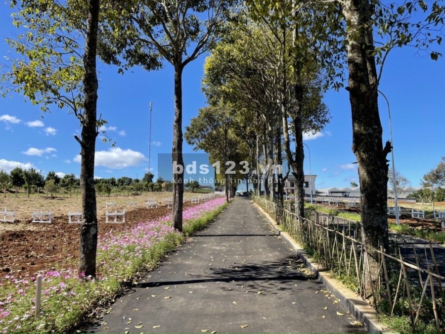 Eden Hills - đất nền nghỉ dưỡng gần ngay trung tâm Đà Lạt giá 4.2tr/m2 - đã có sổ đỏ từng nền