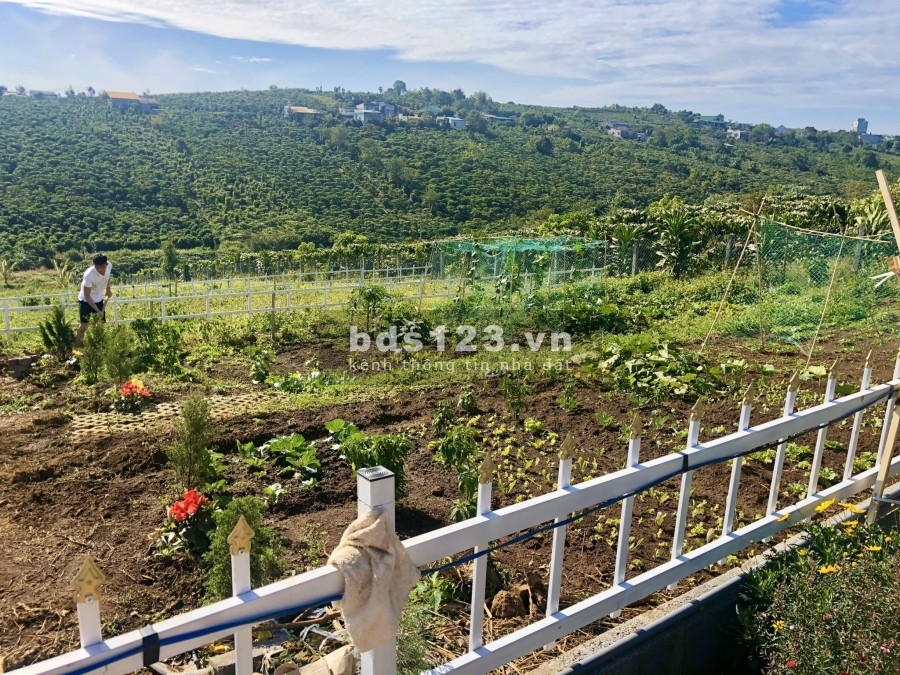 Mở bán 64 lô đất xã Lộc Quảng, Bảo Lâm Lâm Đồng - bảo lộc hills - master land propertyxvn