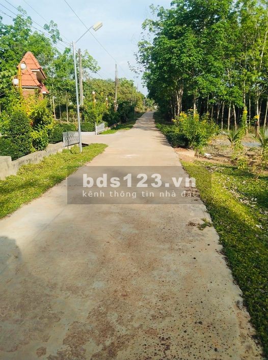 Bán đất Bình Phước chính chủ diện tích 1000m2 cạnh khu công nghiệp giá đầu tư pháp lý đủ