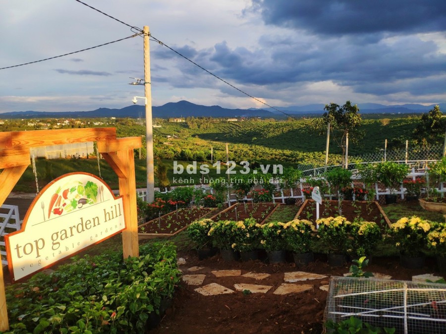 Đất nền thích hợp xây nghĩ dưỡng homestay du lịch giá thoả thuận, pháp lý chính chủ