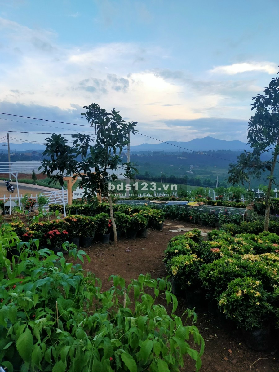 Đất nền thích hợp xây nghĩ dưỡng homestay du lịch giá thoả thuận, pháp lý chính chủ