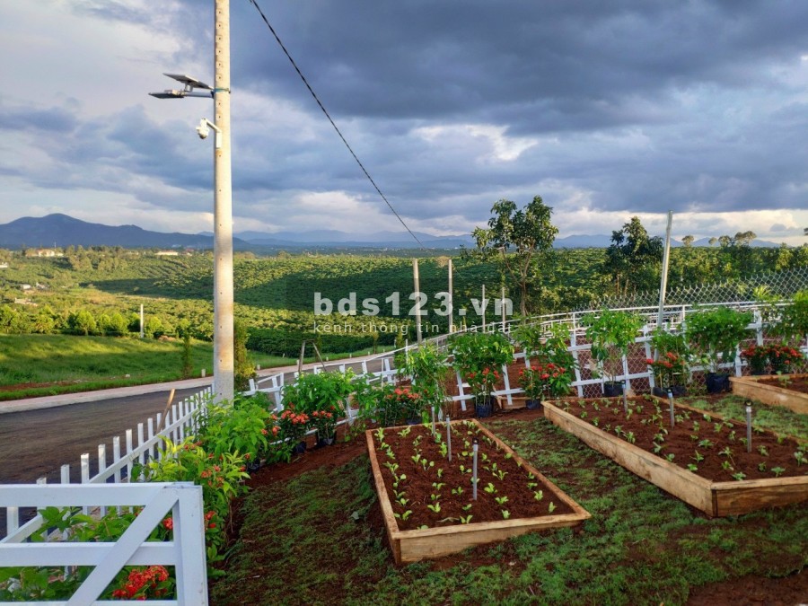 Đất nền thích hợp xây nghĩ dưỡng homestay du lịch giá thoả thuận, pháp lý chính chủ