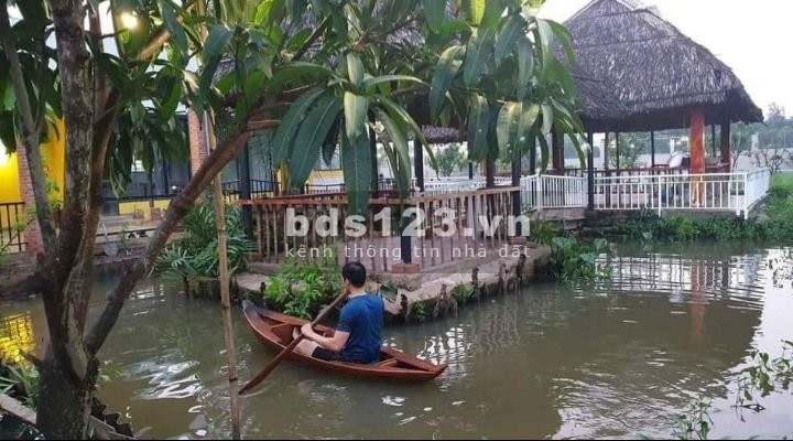 Bán nhà vườn nguyên căn Bình Mỹ, Củ Chi, diện tích 1000m2 giá bán chỉ 5 tỷ, sổ sẵn chính chủ