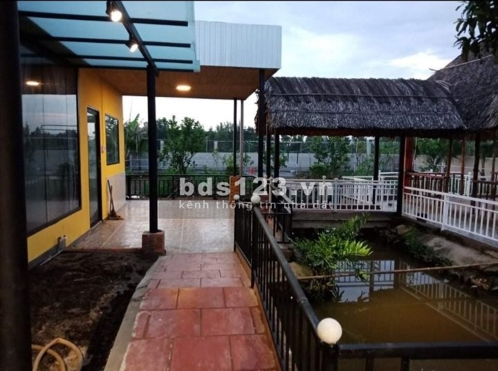 Bán nhà vườn nguyên căn Bình Mỹ, Củ Chi, diện tích 1000m2 giá bán chỉ 5 tỷ, sổ sẵn chính chủ