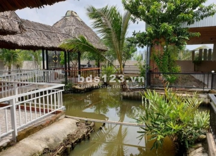 Bán nhà vườn nguyên căn Bình Mỹ, Củ Chi, diện tích 1000m2 giá bán chỉ 5 tỷ, sổ sẵn chính chủ