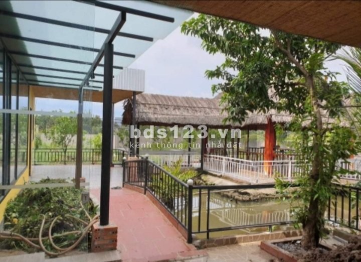 Bán nhà vườn nguyên căn Bình Mỹ, Củ Chi, diện tích 1000m2 giá bán chỉ 5 tỷ, sổ sẵn chính chủ