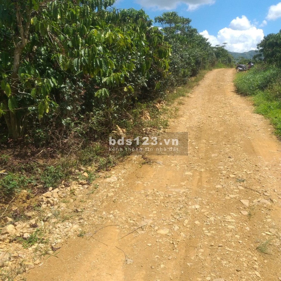 Bán đất nghỉ dưỡng mặt đường rộng thành phố Bảo Lộc liên hệ 0328883140, giá tốt