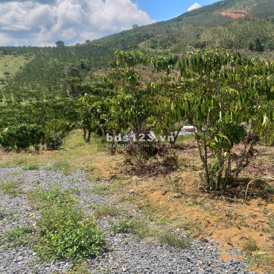 Bán đất nghỉ dưỡng mặt đường rộng thành phố Bảo Lộc liên hệ 0328883140, giá tốt