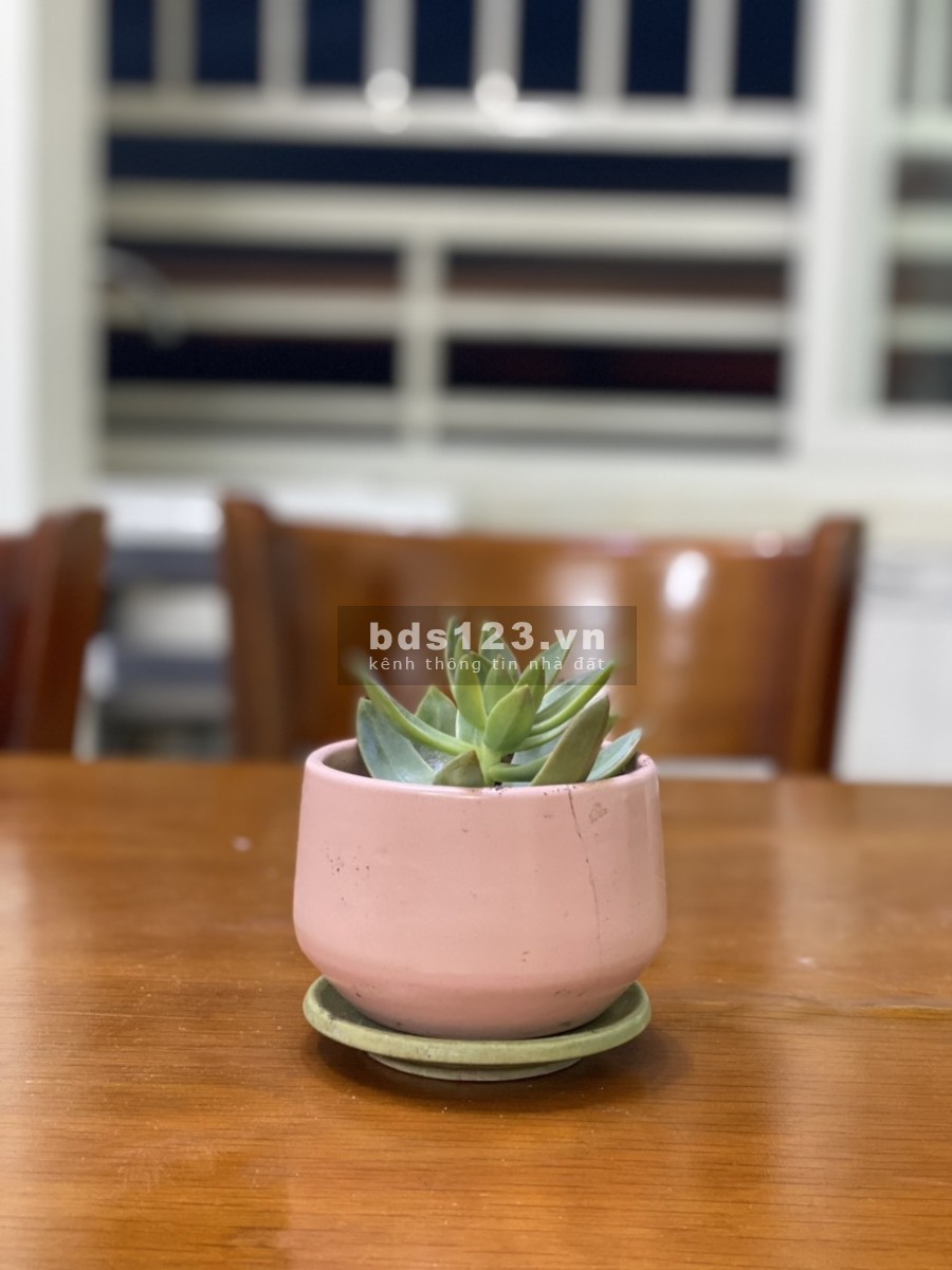 Cần bán căn hộ chung cư Tecco Green Nest DT 58m2. Giá 1.6 tỷ, DT 65m2 giá 1.75 tỷ
