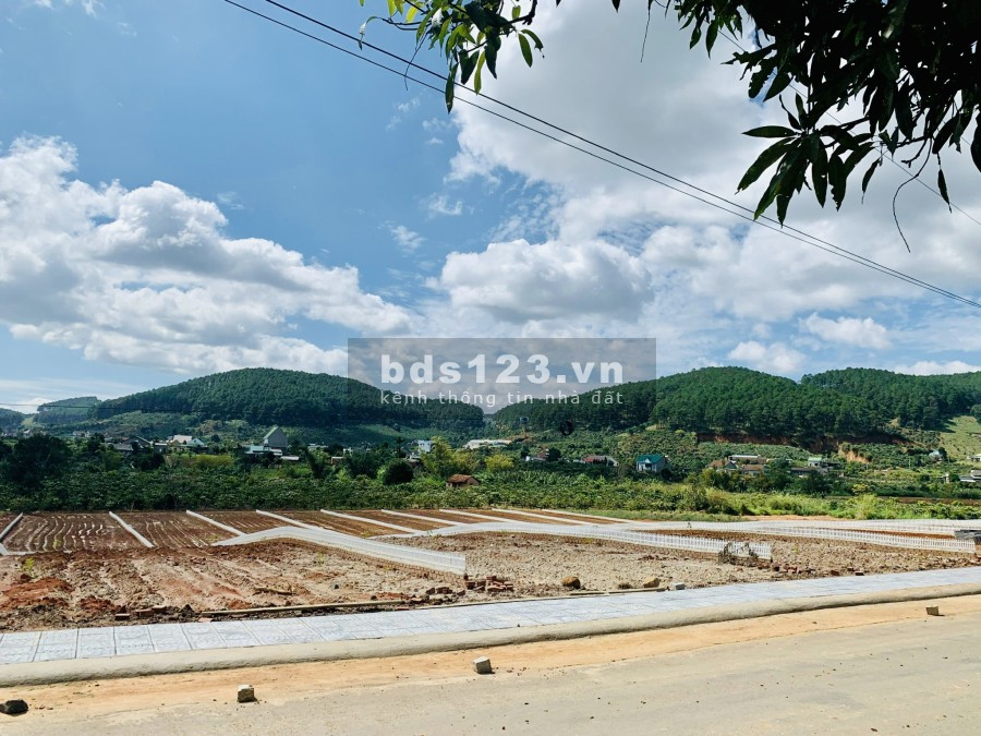 Cần bán gấp đất 528m2 Quy hoạch chính chủ full thổ cư tại Xã Mê Linh, huyện Lâm Hà, tỉnh Lâm Đồng