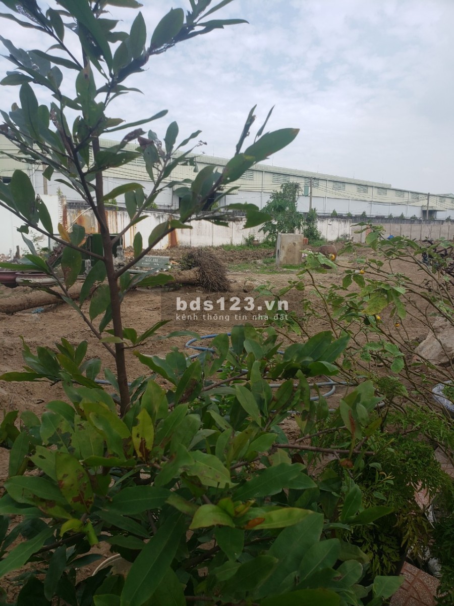Kẹt tiền cần bán đất 2 mặt tiền 100m giá 900 triệu ngân hàng thẩm định cho vay lãi thấp
