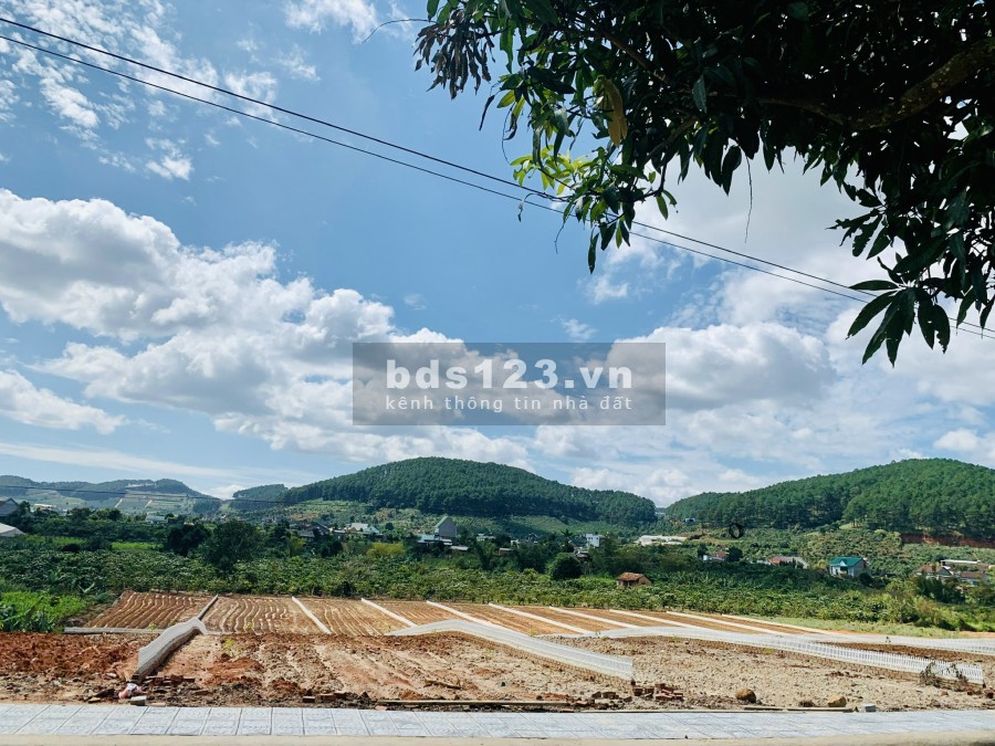 Cần bán gấp đất 528m2 Quy hoạch chính chủ full thổ cư tại Xã Mê Linh, huyện Lâm Hà, tỉnh Lâm Đồng
