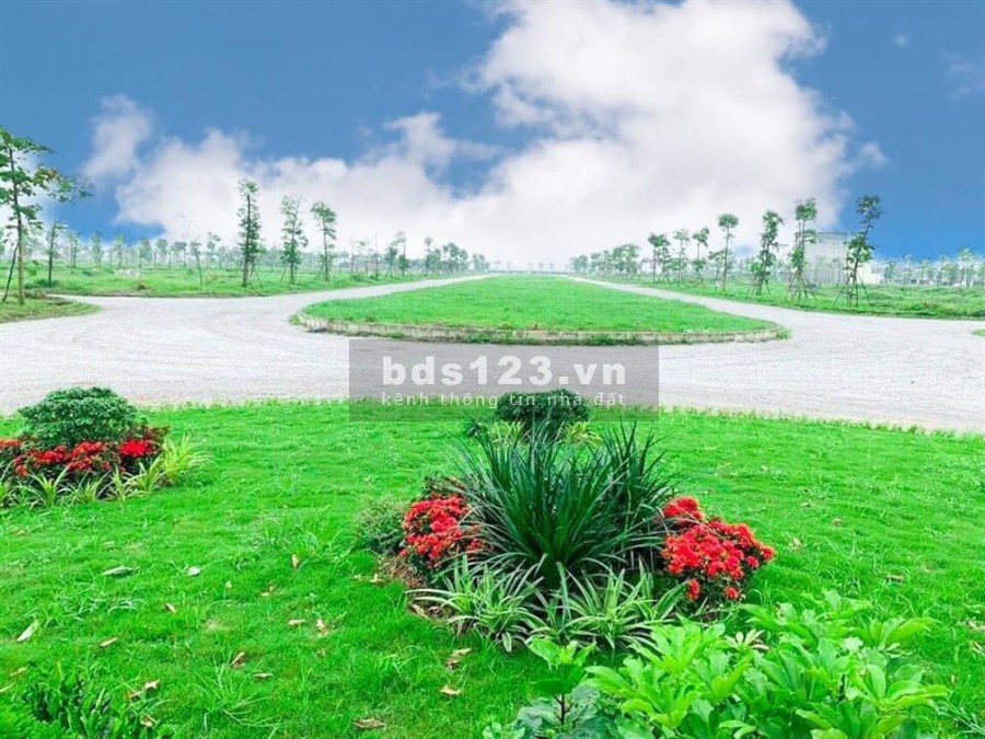  Chỉ hơn 12tr/1m sở hữu lô đất tại KDT New City Phố Nối- Hưng Yên