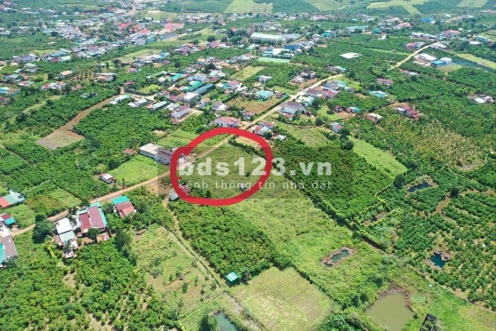Cần ra đi gấp 2 lô đất đẹp sổ chính chủ 2 tỷ - 500 m² Bảo Lộc, Lâm Đồng