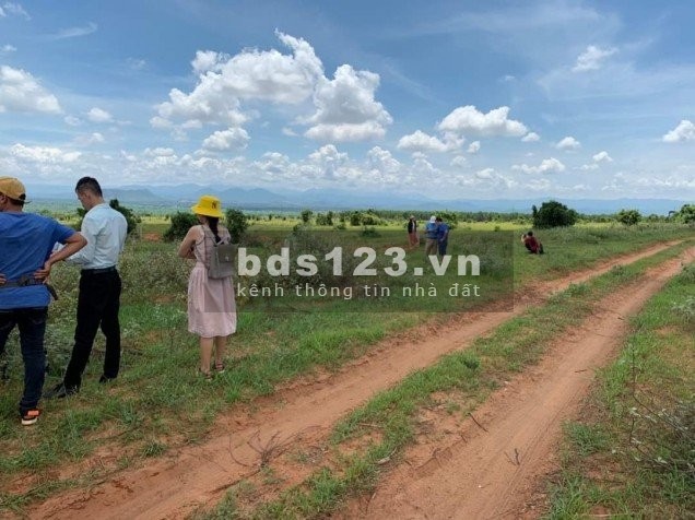 Cần bán gấp lô đất diện tích 11407m2 Bình Tân, Bắc Bình, Bình Thuận lh 0782335571