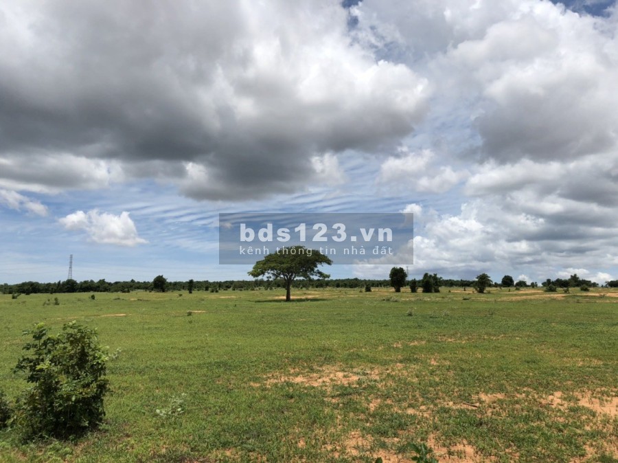 Cần bán gấp lô đất diện tích 11407m2 Bình Tân, Bắc Bình, Bình Thuận lh 0782335571