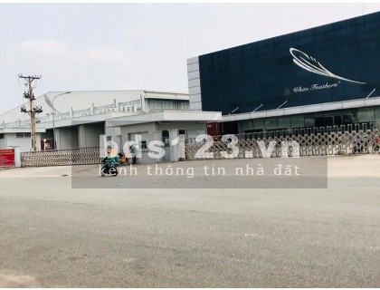 Do lớn tuổi cần sang lại 300m2 đất, 18 phòng trọ, sổ riêng, kề chợ dân sinh, giá 590 triệu/lô