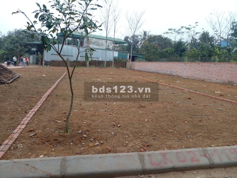 Cần tiền bán gấp lô đất gần Đại Lộ Thăng Long Hà Nội, giá thoả thuận, vị trí đắc địa, khu dân cư