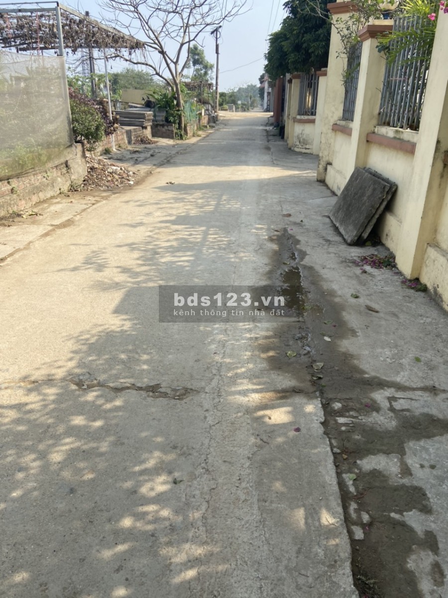 Cần bán gấp lô đất Phù Trì, Kim Hoa, Mê Linh, Hà NộiDiện tích 304m2 vị trí đẹp thích hợp đầu tư