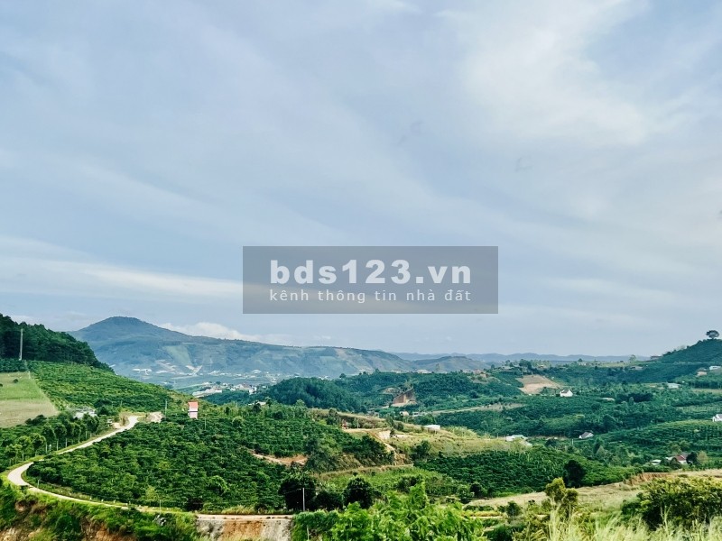 Cần bán lô đất Nam Hà lấy vốn kinh doanh làm ăn vị trí đắc địa, liên hệ 0903827030
