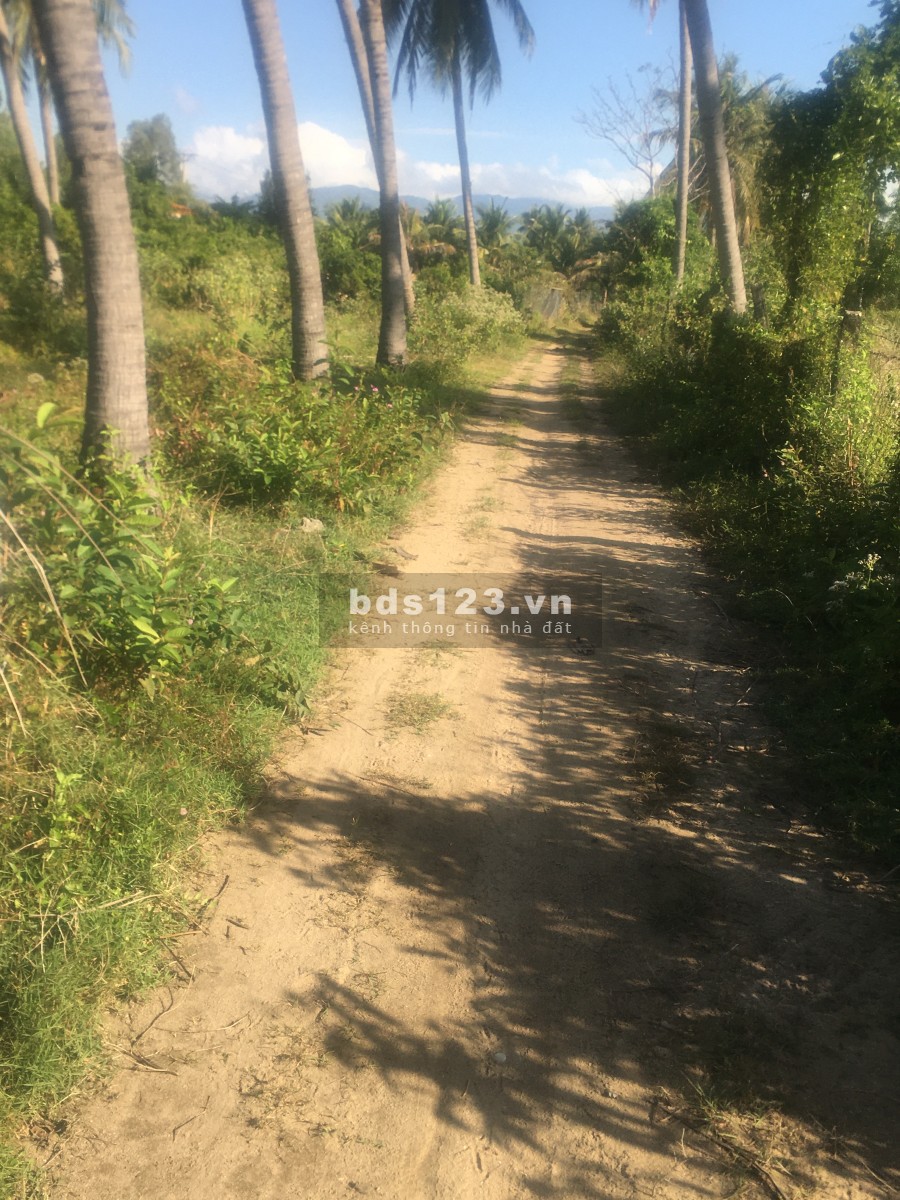 Đất thuộc khu kinh tế Bắc Vân Phong đường vào lớn, xe ra vào thoải mái, gần khu dân cư đông đúc