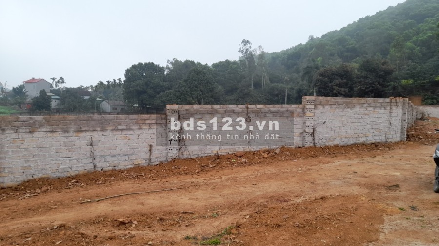 Đất nghỉ dưỡng, Trang trại tại Ba Vì Hà Nội giá chỉ 120 triệu/sào (360m2) lh 0982223337