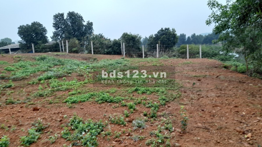 Đất nghỉ dưỡng, Trang trại tại Ba Vì Hà Nội giá chỉ 120 triệu/sào (360m2) lh 0982223337