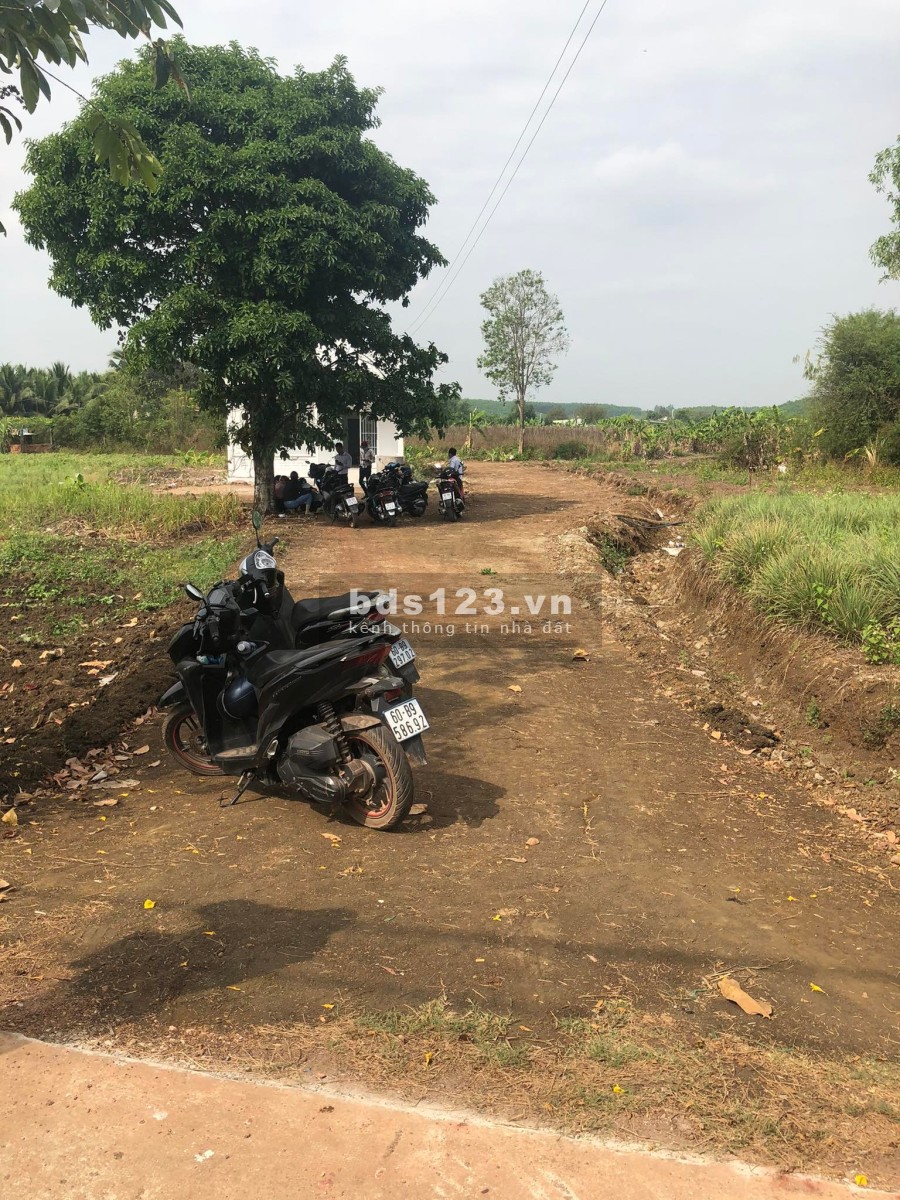 Đất xào mặt tiền đường bê tông ấp 5 ngã tư Vĩnh Tân Vĩnh Cửu khu an ninh cực tốt