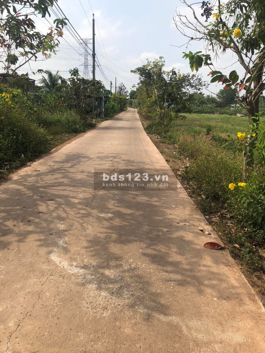 Đất xào mặt tiền đường bê tông ấp 5 ngã tư Vĩnh Tân Vĩnh Cửu khu an ninh cực tốt
