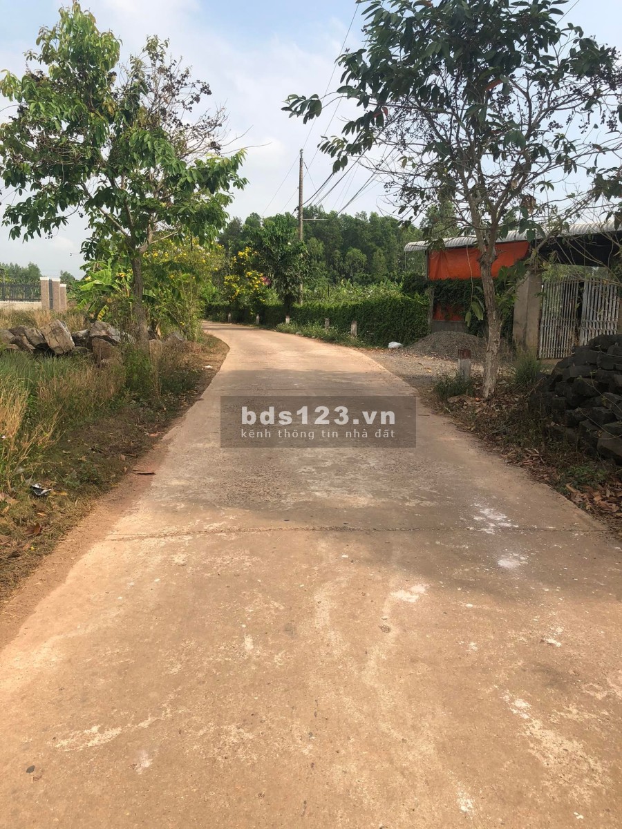 Đất xào mặt tiền đường bê tông ấp 5 ngã tư Vĩnh Tân Vĩnh Cửu khu an ninh cực tốt
