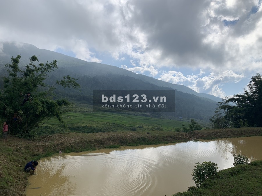 Bán Mảnh đất siêu phẩm tại Mò Pú Chải, Y Tý Lào Cai dtsd 7000m2 giá hơn 1xtr/m2