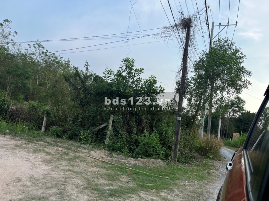 Cần bán lô diện tích 25x30 đất Củ Chỉ bán nhanh trả nợ giá chỉ 1,1 tỷ, gần nhiều tiện ích