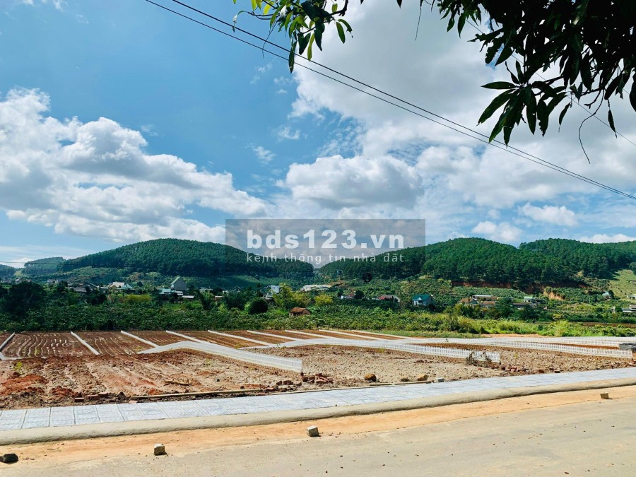 Bán gấp lô đất tại Lâm Hà giùm ông chú do kẹt tiền. Giá rẻ nhất 2022 vị trí đắc địa