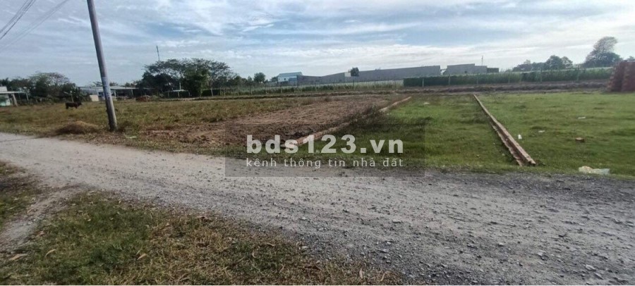 Đất thị trấn Đức Hoà, giá bán 230 triệu. sổ riêng, thổ cư 100%, bao công chứng sang tên ngay