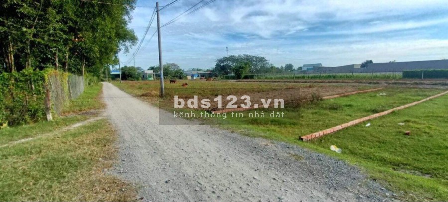 Đất thị trấn Đức Hoà, giá bán 230 triệu. sổ riêng, thổ cư 100%, bao công chứng sang tên ngay
