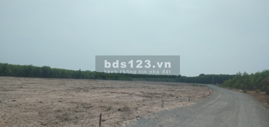 Bán đất sân bay Hồ Tràm, đất thổ cư chính chủ, giá rẻ chỉ 3 triệu/m² pháp lý chính chủ