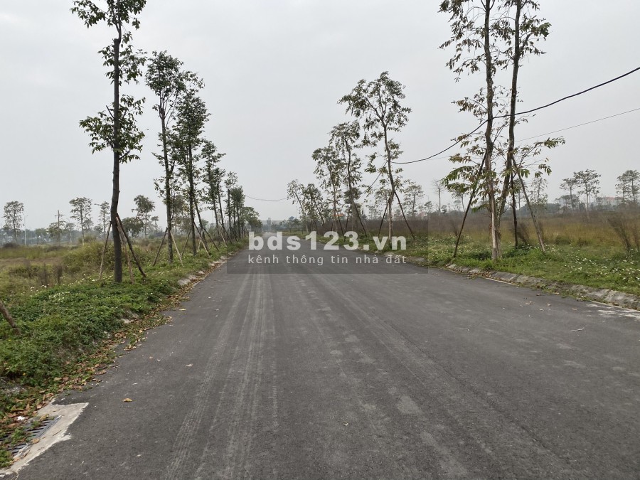 BLK28 Hướng Bắc gần vườn hoa, giá bán chỉ hơn 14 triệu/m2, liên hệ 0962.506.751