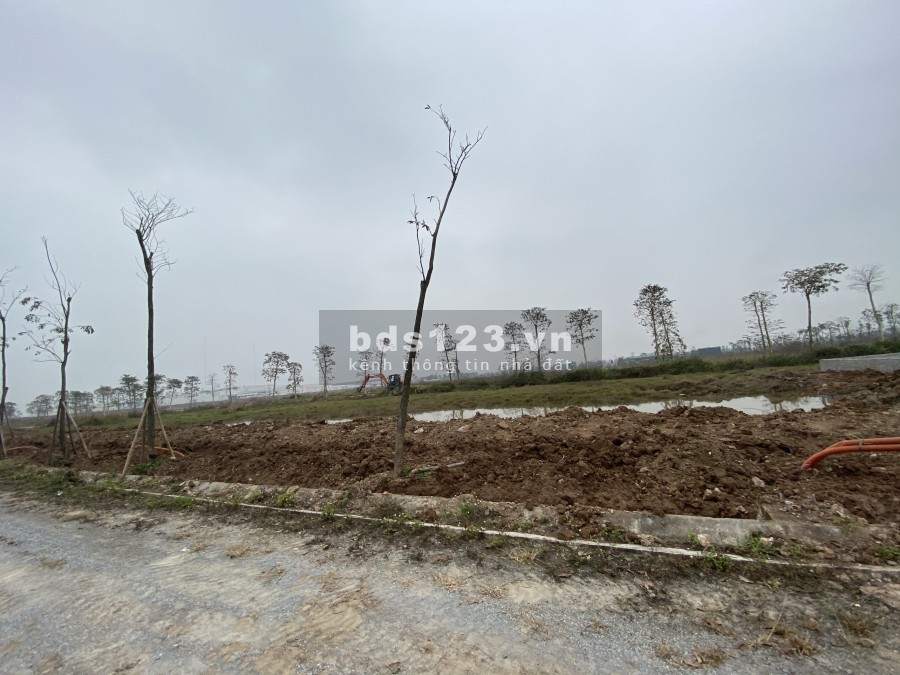 Chính chủ cần bán BLK19, BLK16 tại New City, giá cạnh tranh. LH 0962.506.751