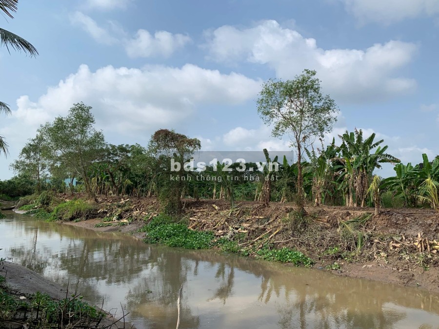 Đất nền đường cặp Rạch Ông Tiêm, cách Trương Vĩnh Nguyên 500m, mặt sông