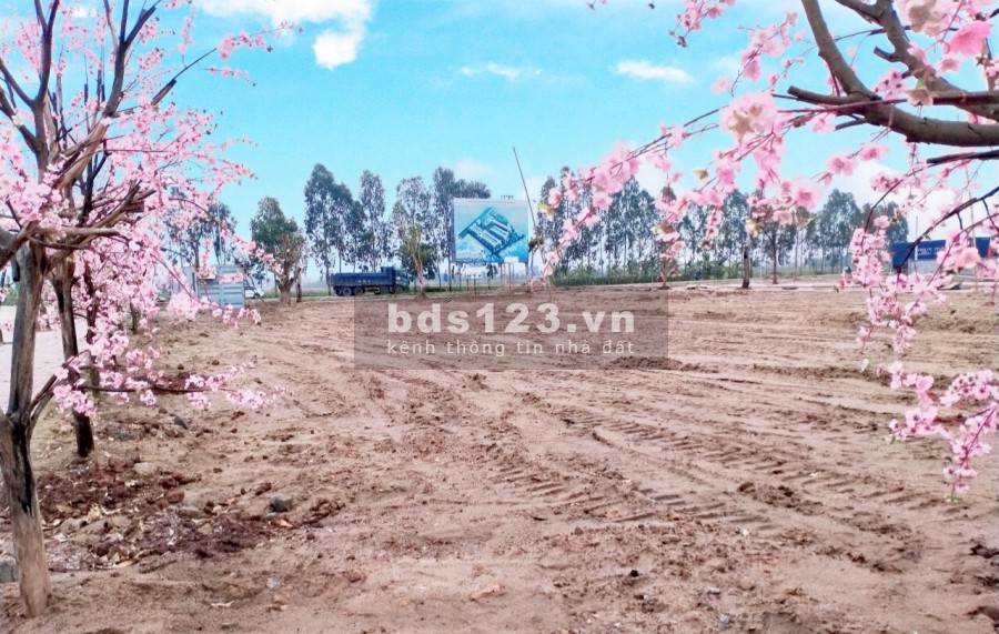 Đầu tư ngay Green Park Kim Đính, Kim Thành, giá chủ đầu tư, cơ hội sin lời, lh 0977312072