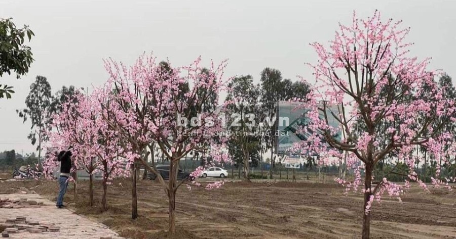 Đầu tư ngay Green Park Kim Đính, Kim Thành, giá chủ đầu tư, cơ hội sin lời, lh 0977312072
