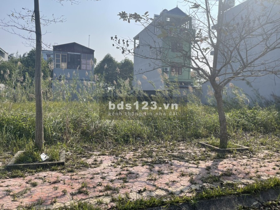 Vgreen City Phố Nối e bán lô Hướng Bắc Alk05 đẹp liên hệ 0799863888 giá tốt đầu tư