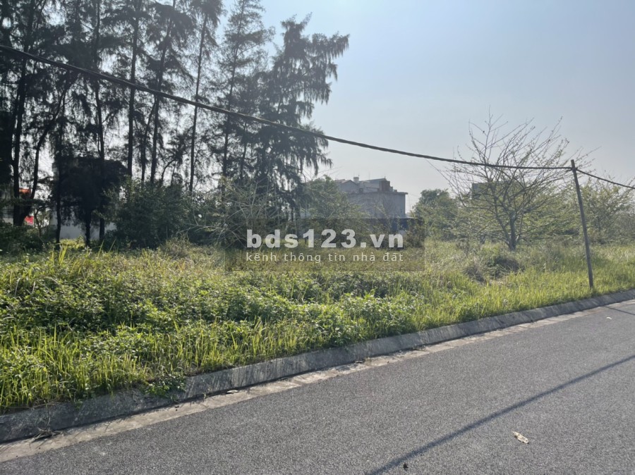 Vgreen City e bán Alk07 mặt vườn cây thoáng đẹp đang ra sổ đỏ, liên hệ 0799863888